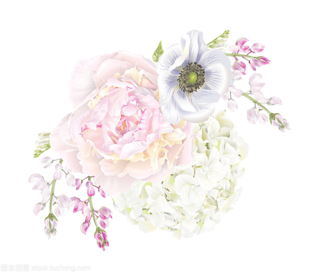 牡丹与莲花 花卉文化中的双重华章